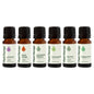 Breathe Easy Essential Oil Set