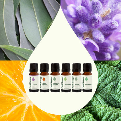 Breathe Easy Essential Oil Set