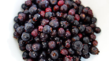 20 Saskatoon Serviceberry (Amelanchier Alnifolia) Seeds