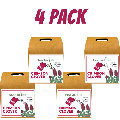 Crimson Clover Eco-Friendly Seeding Kit
