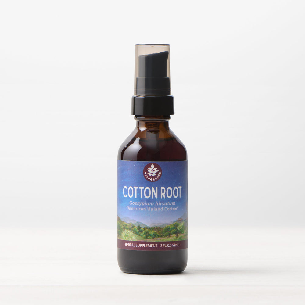 Cotton Root Simple