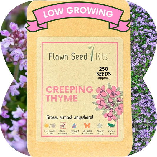 Creeping Thyme Seed Pouch