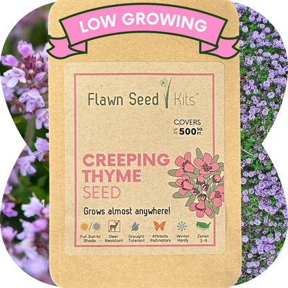 Creeping Thyme Seed Pouch
