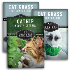 Cat Grass & Catnip Seed Collection – Fun, Healthy Greens & Enrichment Herbs for Indoor Cats