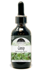 Catnip Tincture or Glycerite