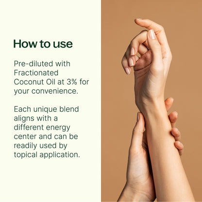 Chakra Blends Essential Oil Roll-On Set