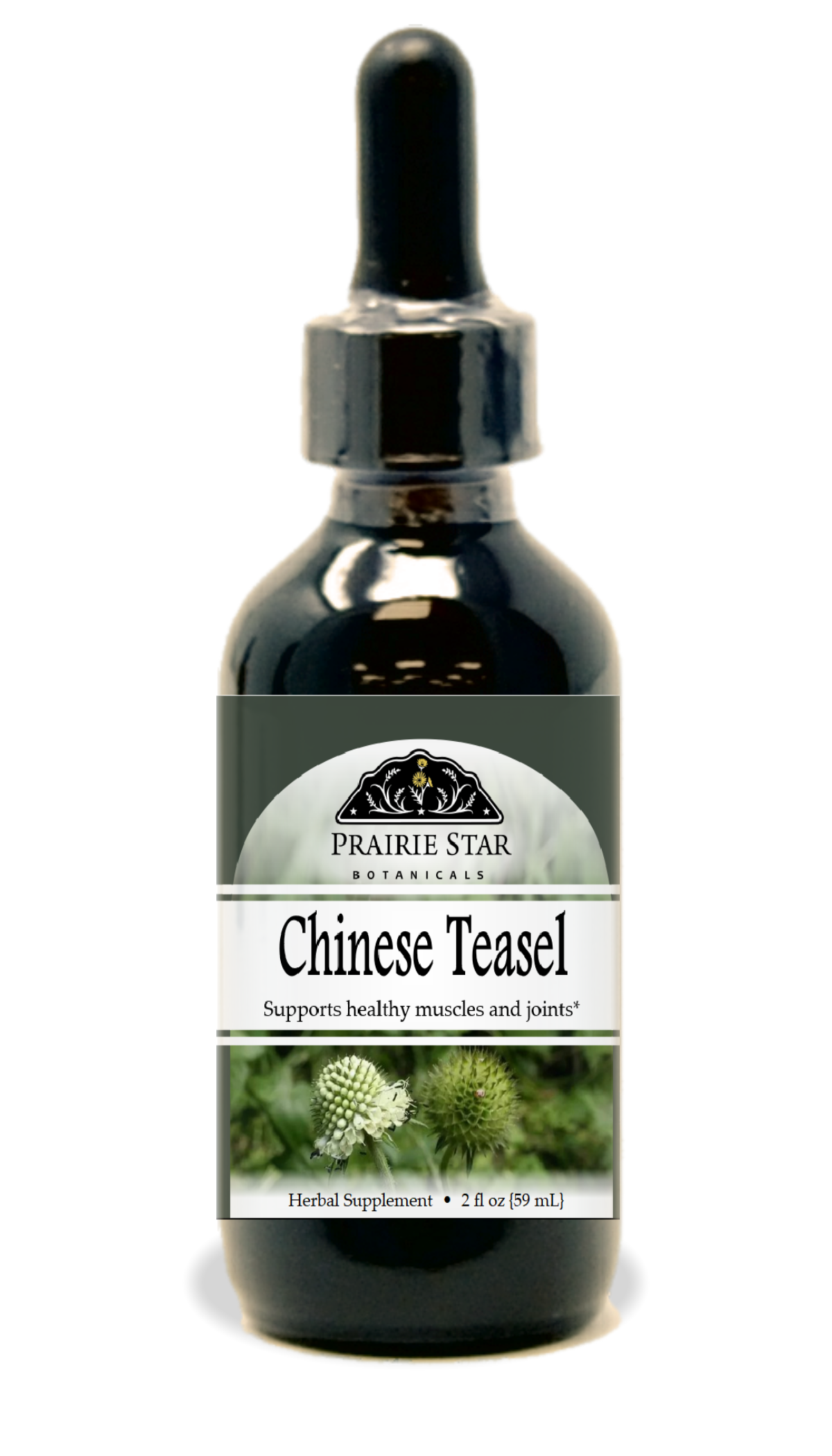 Chinese Teasel Tincture