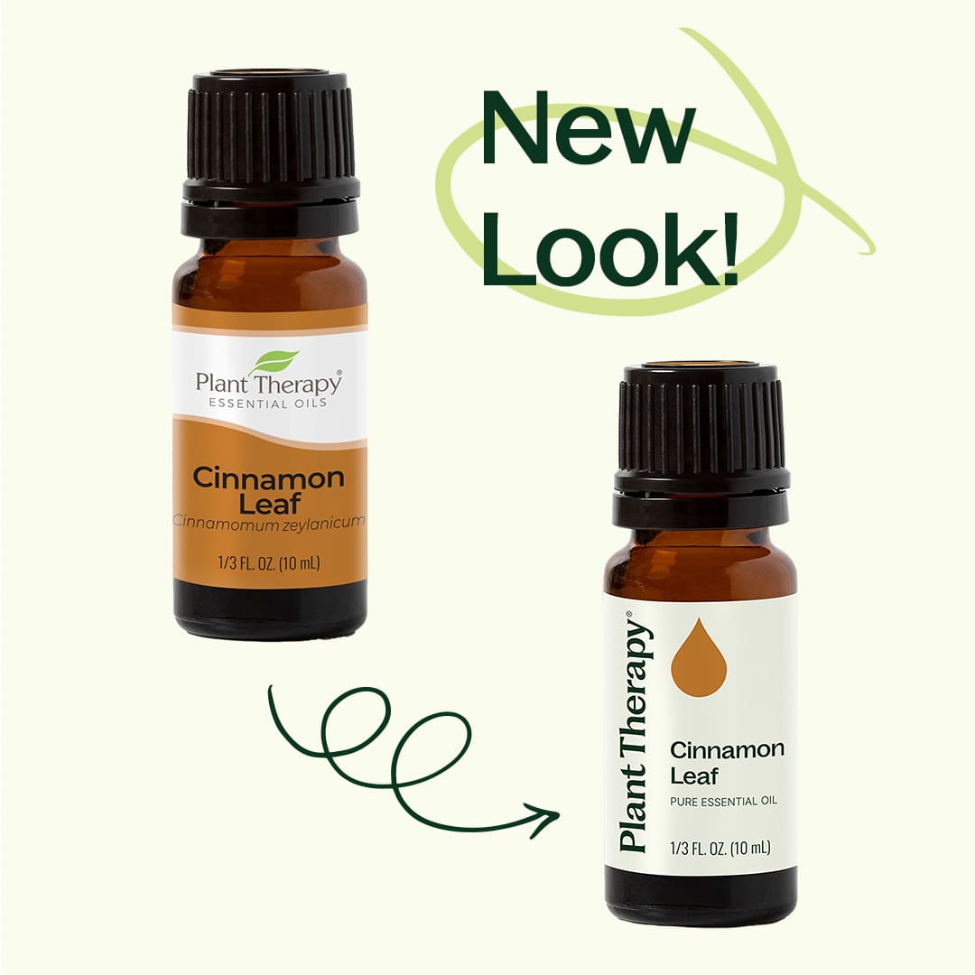 Cinnamon Leaf Essential Oil