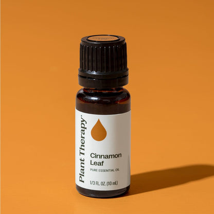 Cinnamon Leaf Essential Oil