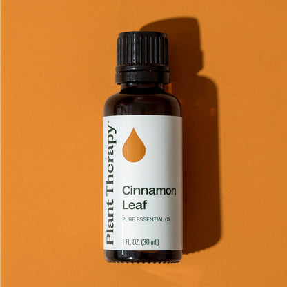 Cinnamon Leaf Essential Oil
