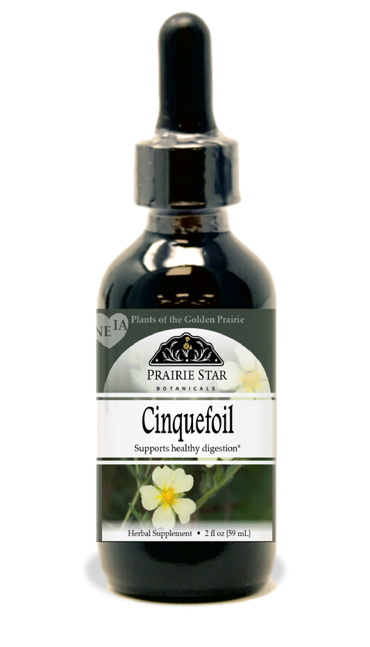 Cinquefoil Tincture