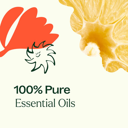 Citrus Burst Multi-Surface Cleaner 2-Pack