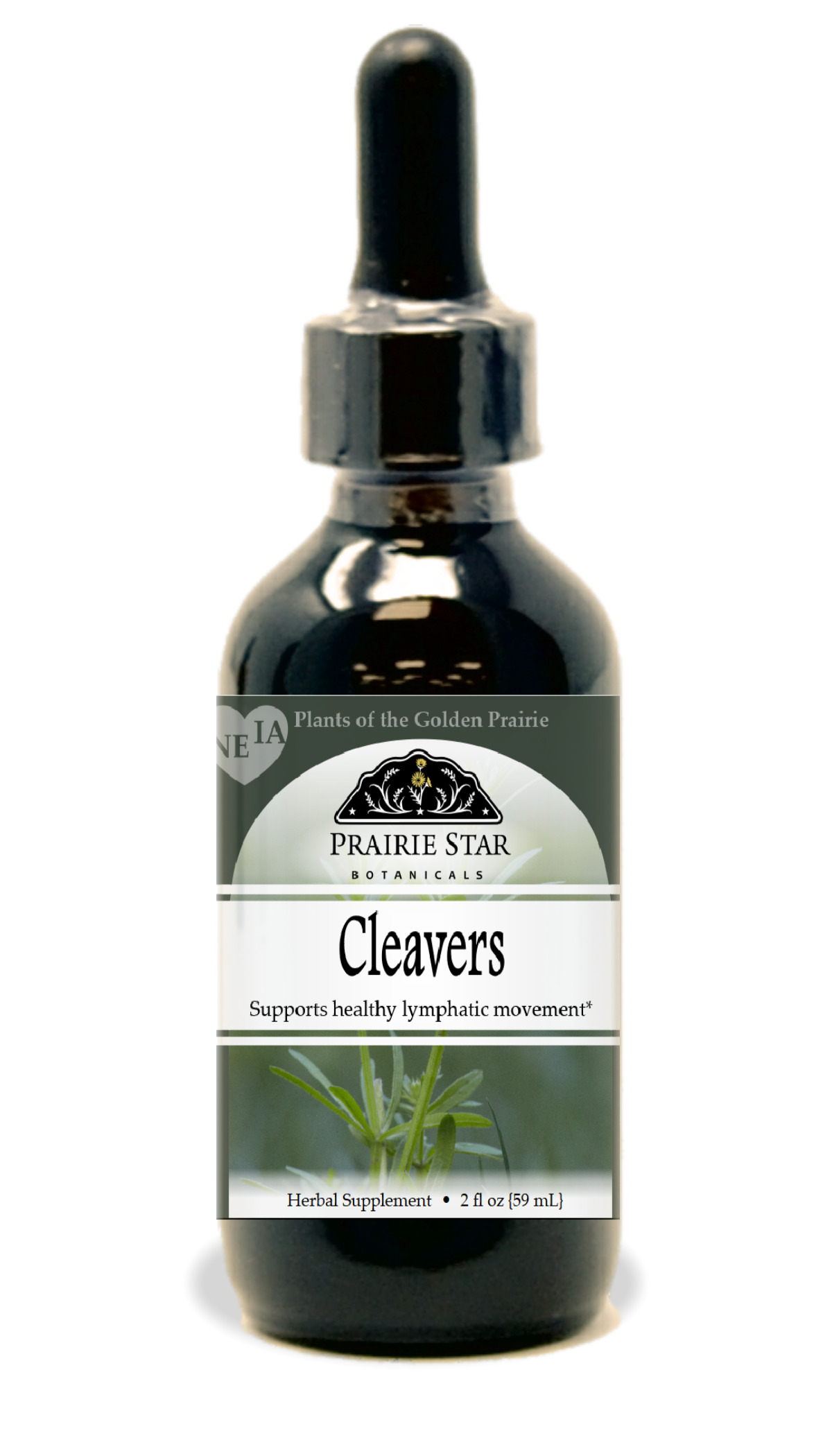 Cleavers Tincture or Glycerite