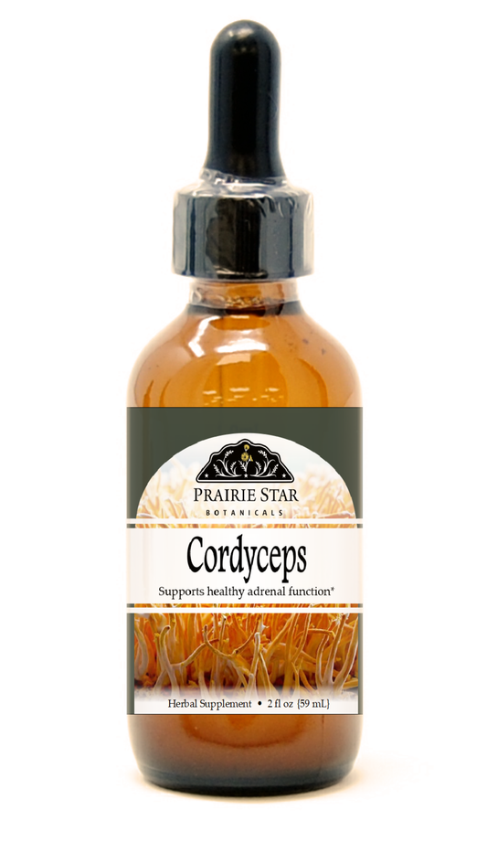 Cordyceps Mushroom Tincture