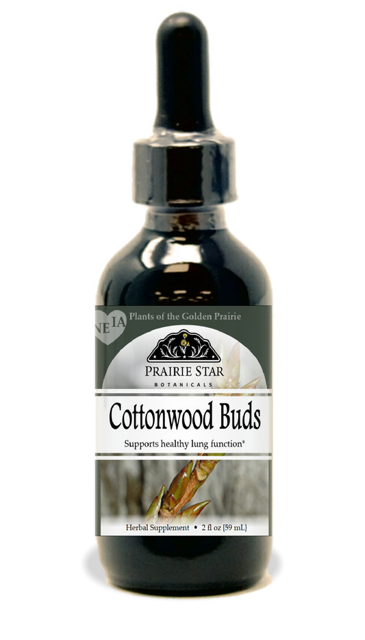 Cottonwood Tincture