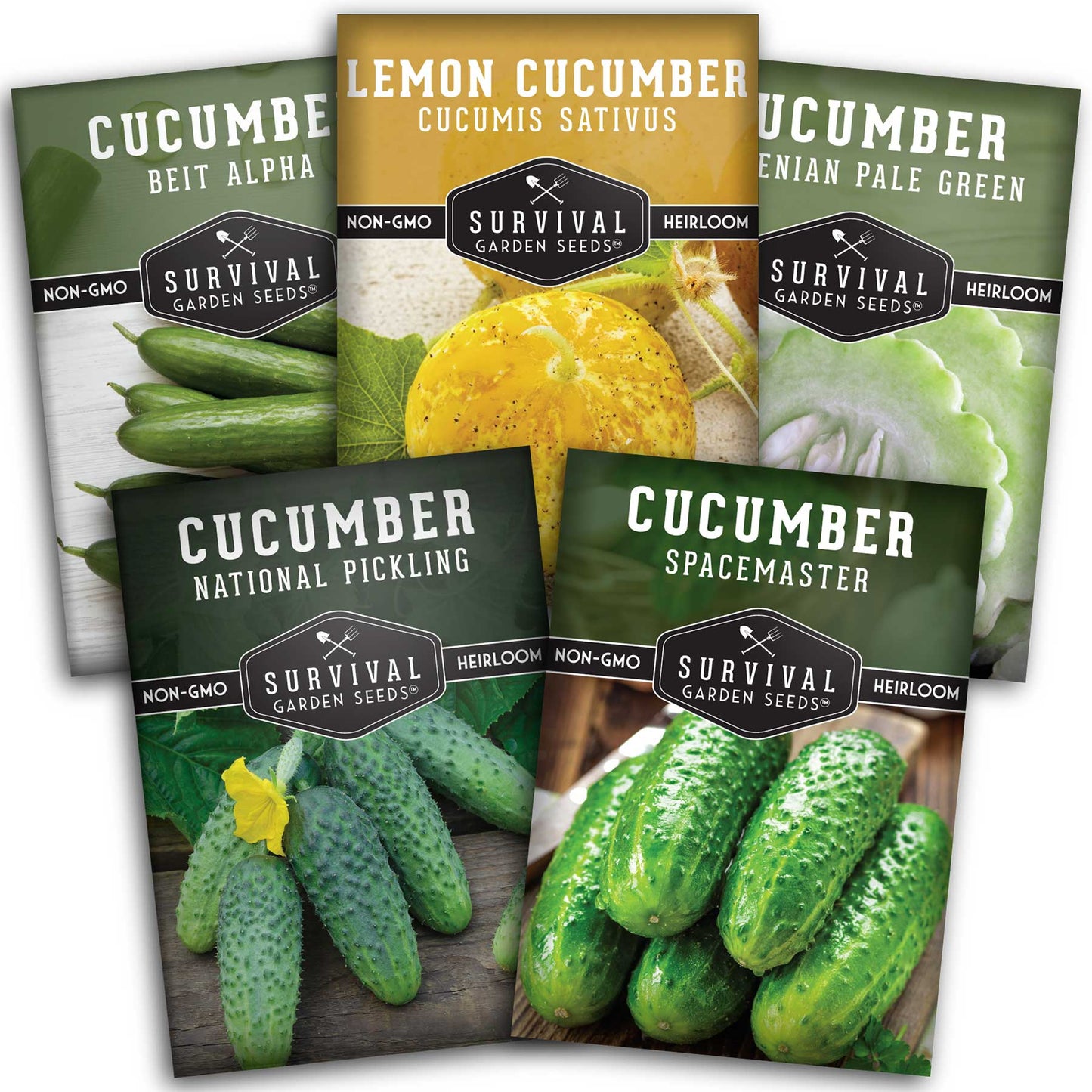 Cucumber Collection - Armenian, Beit Alpha, Lemon, National Pickling, & Spacemaster