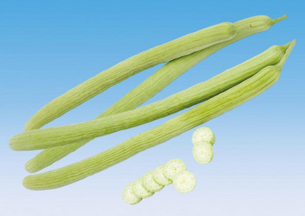 Cucumber-Kakdi