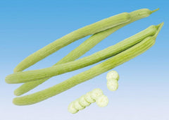 Cucumber-Kakdi