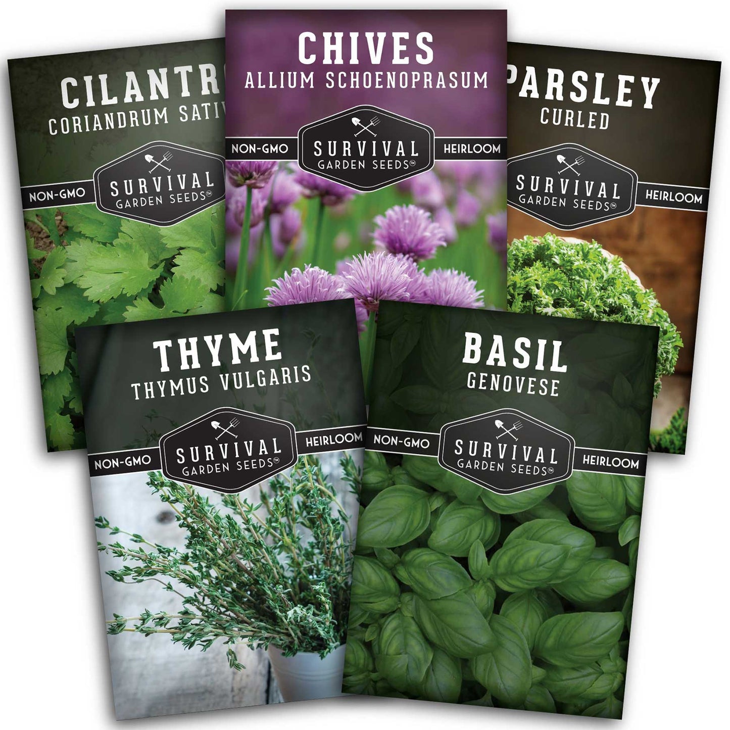 Culinary Herb Seed Collection – 5 Essential Kitchen Herbs for Indoor or Outdoor Growing