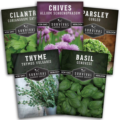 Culinary Herb Seed Collection – 5 Essential Kitchen Herbs for Indoor or Outdoor Growing