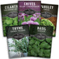 Culinary Herb Seed Collection – 5 Essential Kitchen Herbs for Indoor or Outdoor Growing