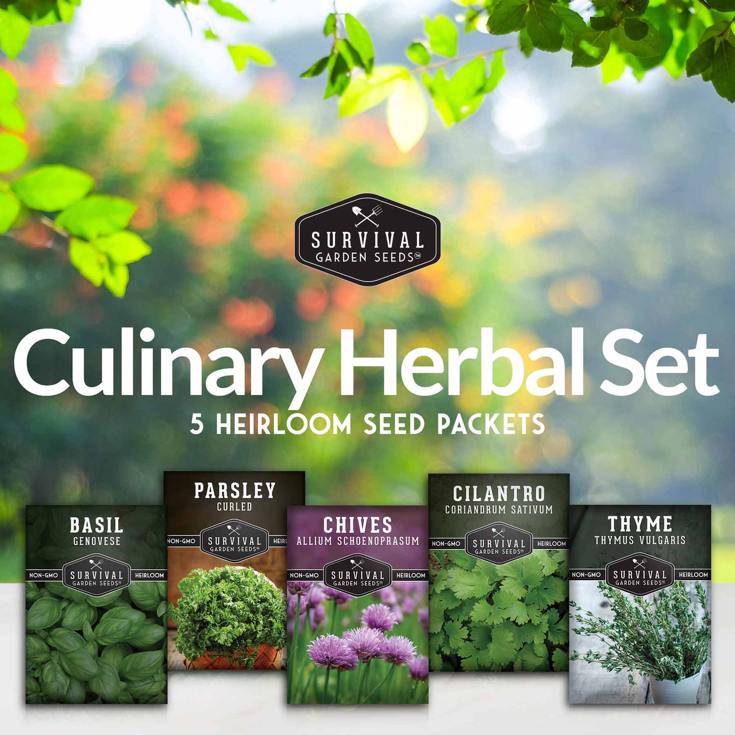 Culinary Herb Seed Collection – 5 Essential Kitchen Herbs for Indoor or Outdoor Growing