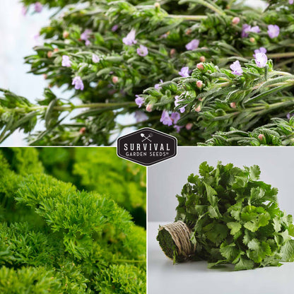 Culinary Herb Seed Collection – 5 Essential Kitchen Herbs for Indoor or Outdoor Growing