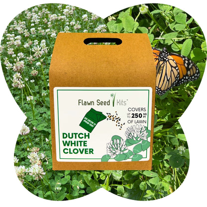 Dutch White Clover Eco-Friendly Seeding Kit