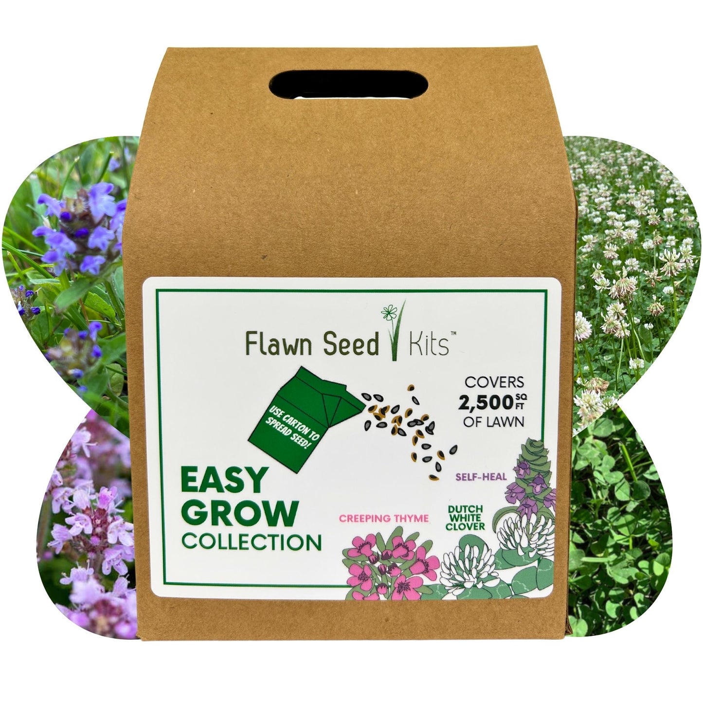 Easy Grow Dutch Clover Bee Lawn Eco-Friendly Kit