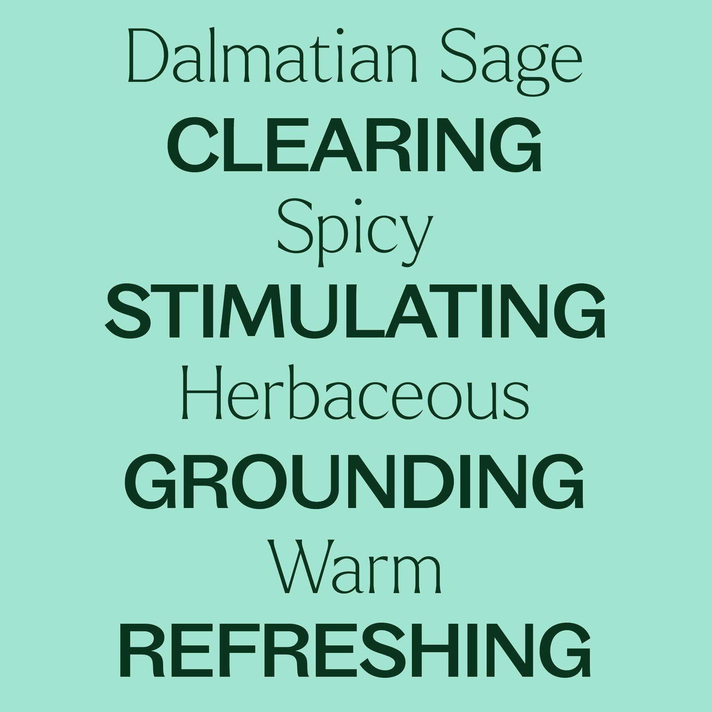 Dalmatian Sage Essential Oil