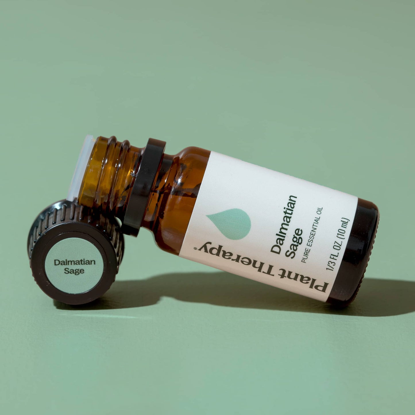 Dalmatian Sage Essential Oil