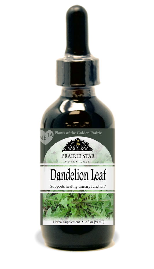 Dandelion Tincture or Glycerite