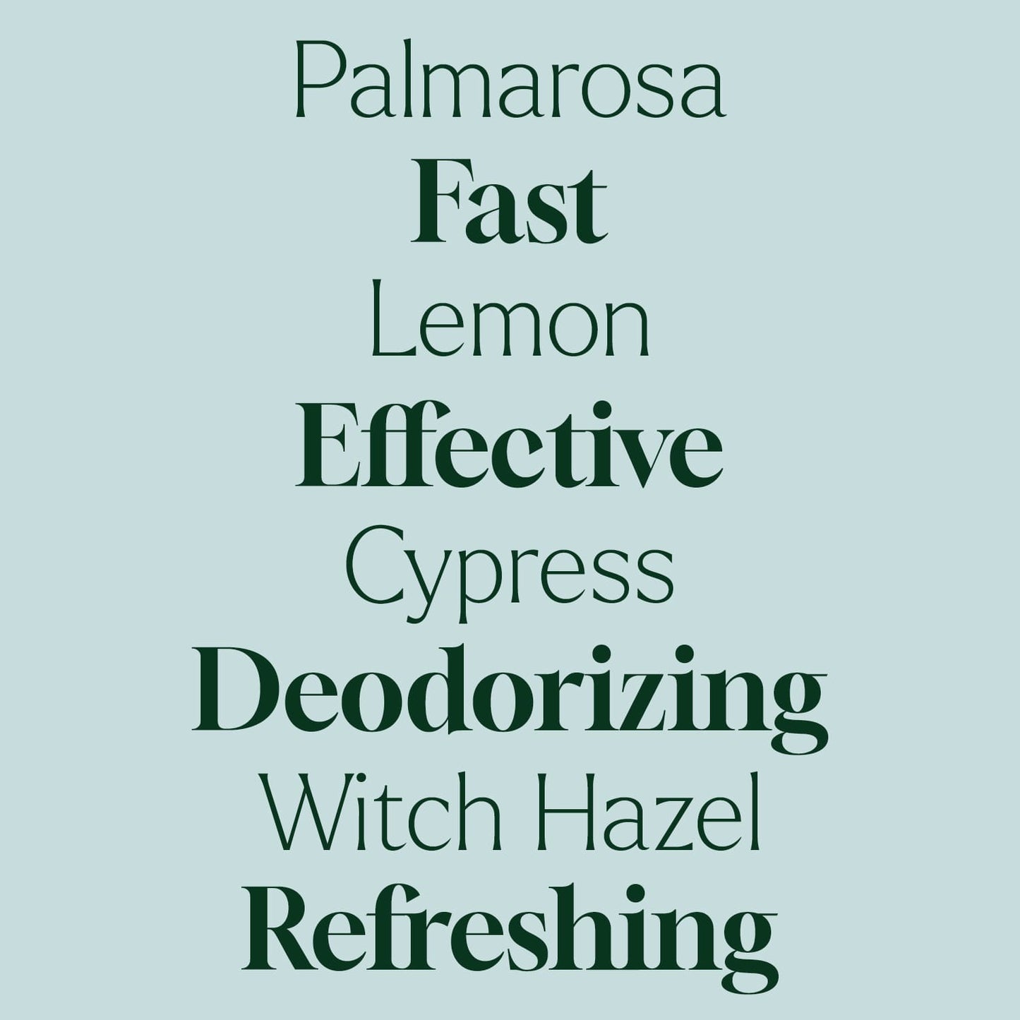 Home Deodorizing Spray 2oz