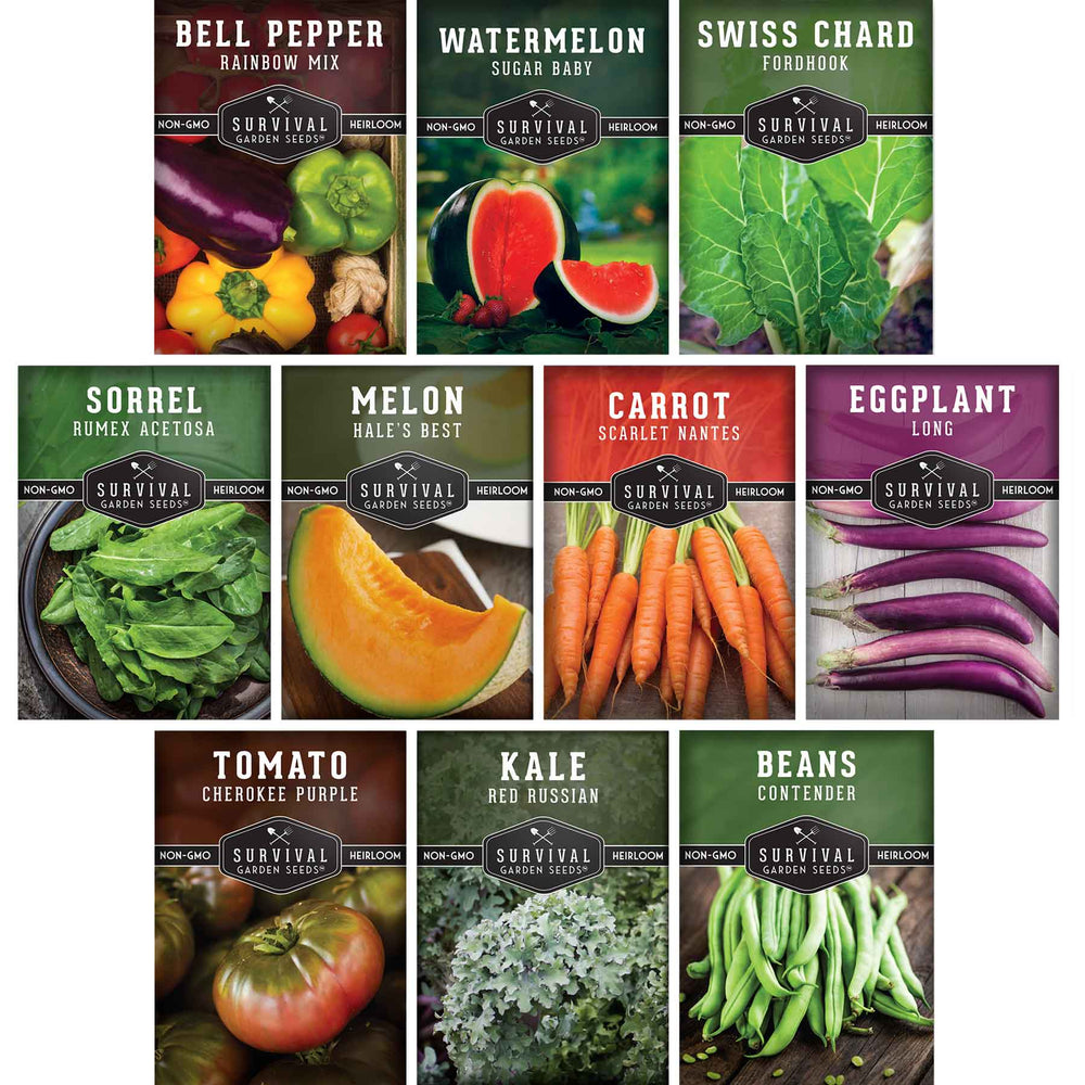 Drought-Tolerant Vegetable Seeds Variety Pack – 10 Heat-Resilient, Full-Sun Garden Favorites for Dry Climate Growing