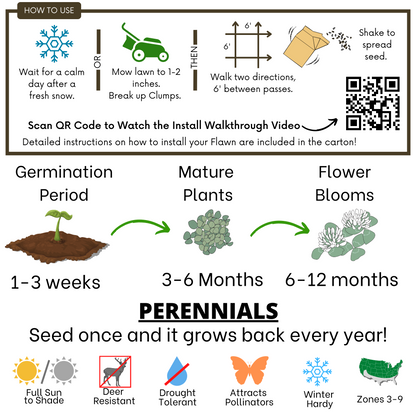 Dutch White Clover Eco-Friendly Seeding Kit