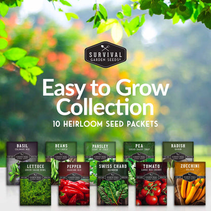 Easy-to-Grow Seed Collection - 10 Vegetable and Herb Seed Packets