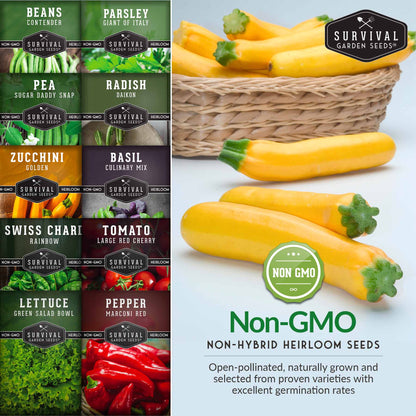 Easy-to-Grow Seed Collection - 10 Vegetable and Herb Seed Packets