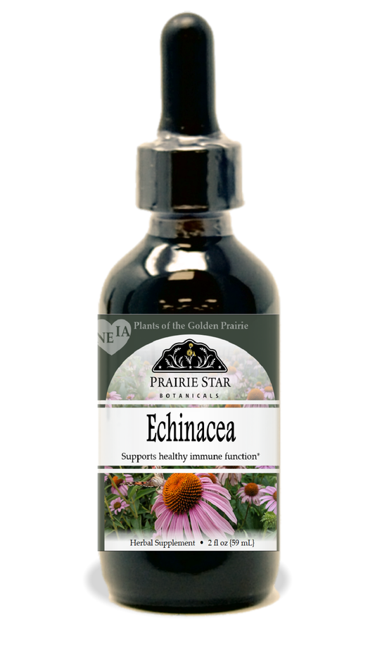 Echinacea Tincture or Glycerite