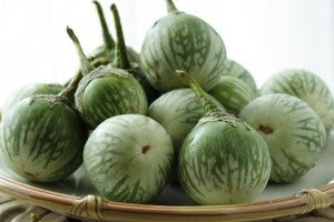 Eggplant-Goti