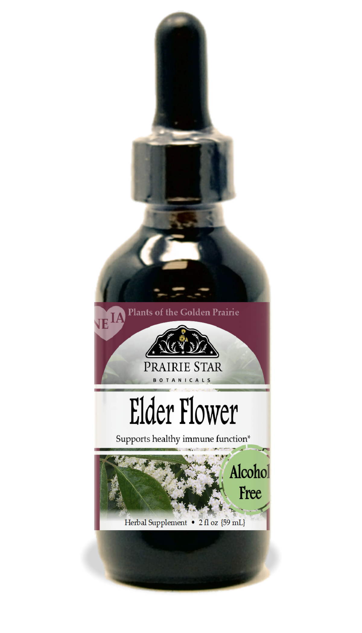 Elder Flower Tincture or Glycerite