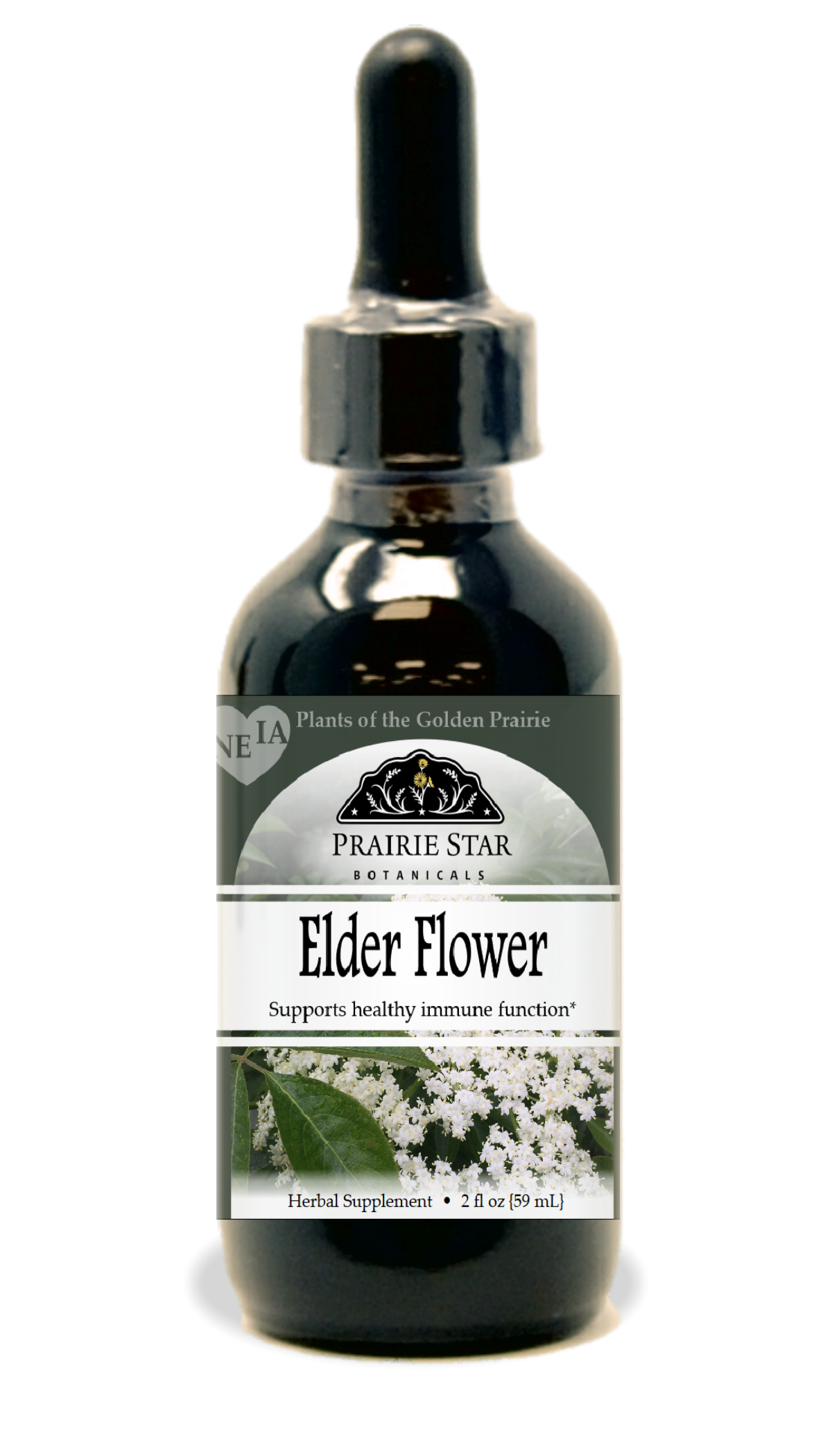 Elder Flower Tincture or Glycerite