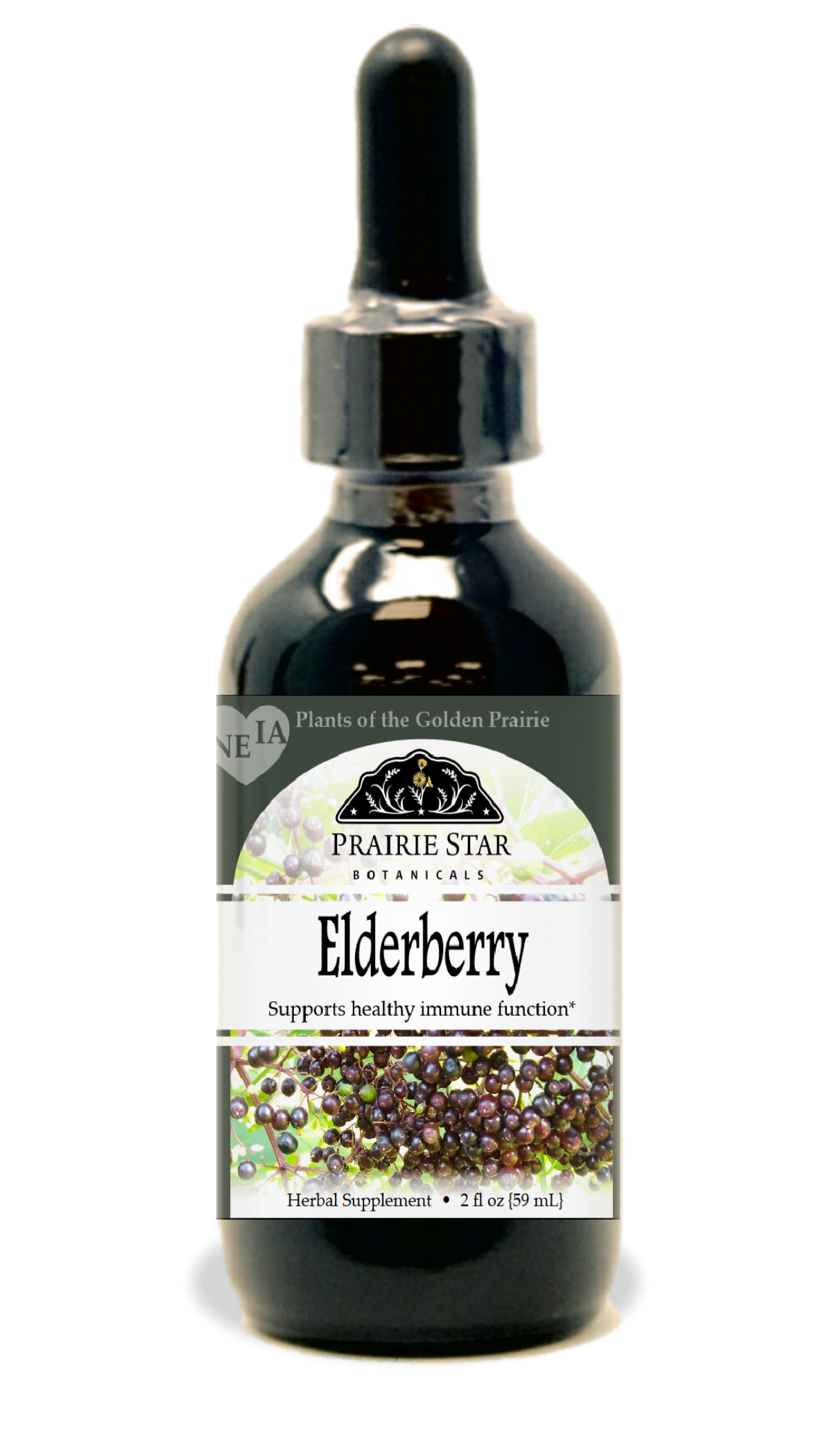 Elderberry Tincture or Glycerite