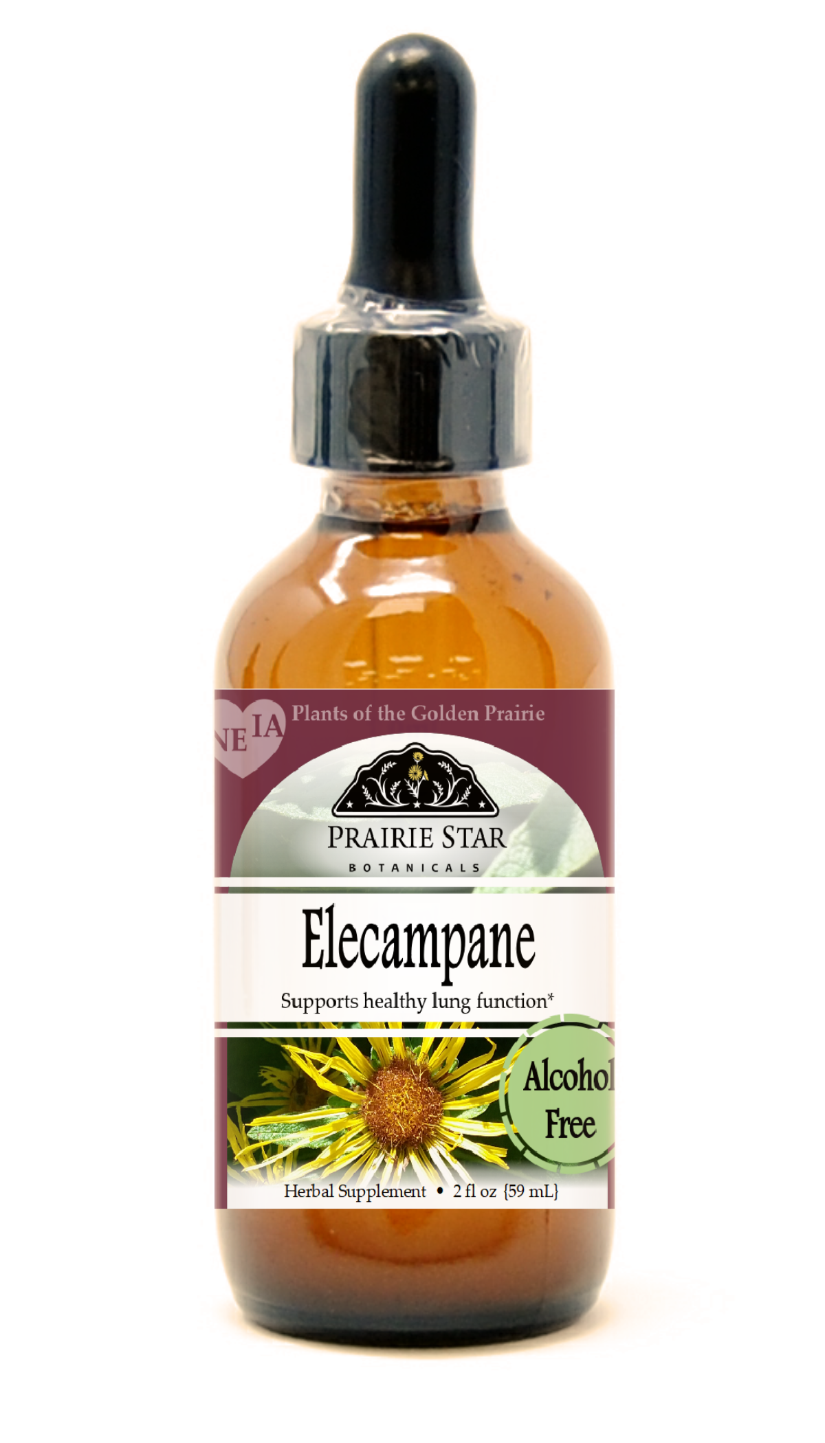 Elecampane Tincture or Glycerite