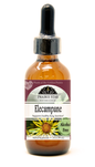 Elecampane Tincture or Glycerite