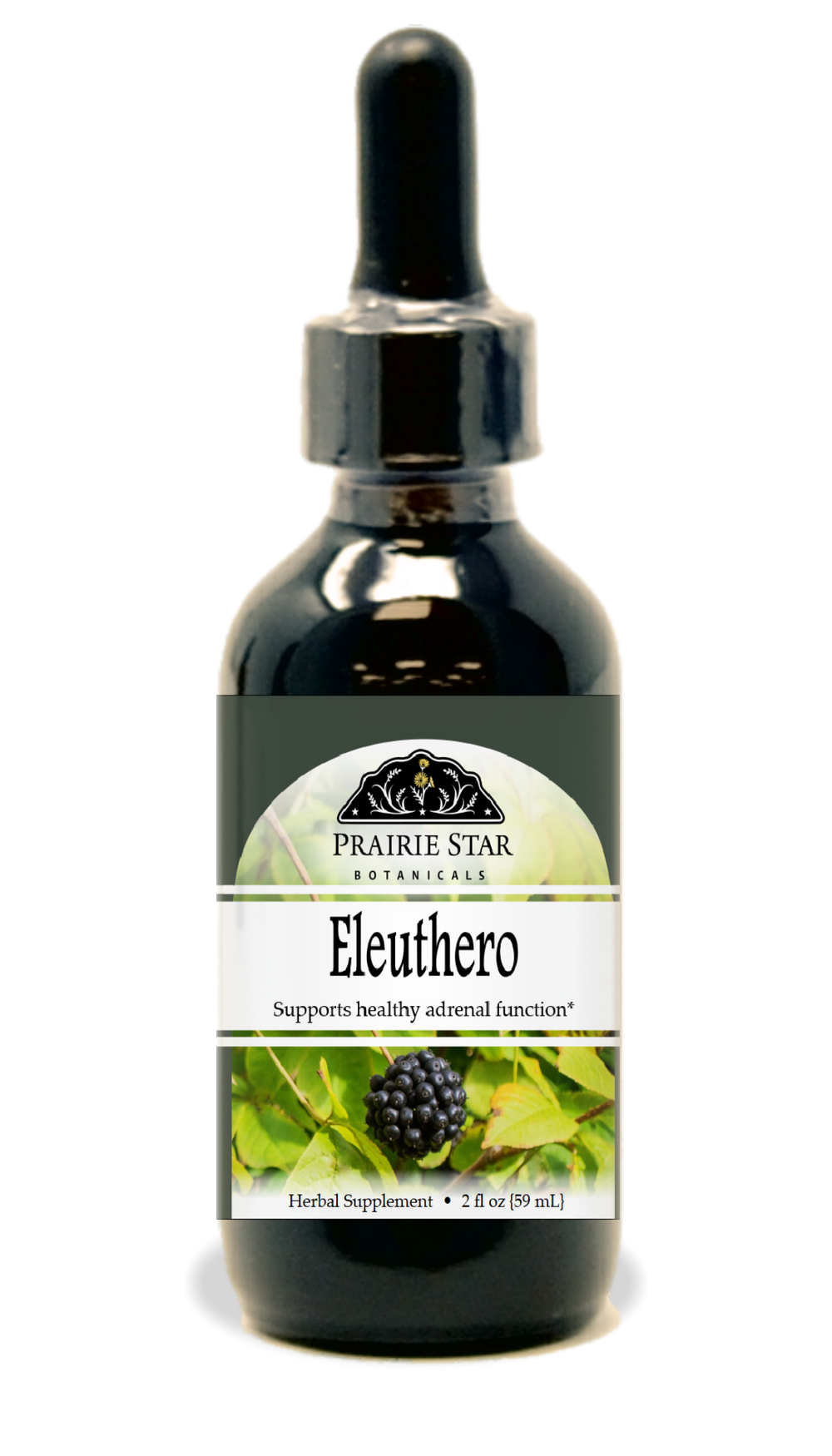 Eleuthero Tincture or Glycerite