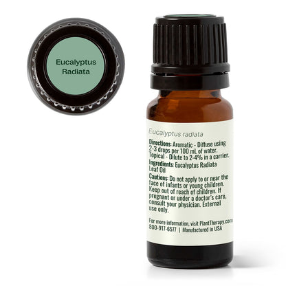 Eucalyptus Radiata Essential Oil