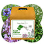 Easy Grow Dutch Clover Bee Lawn Eco-Friendly Kit