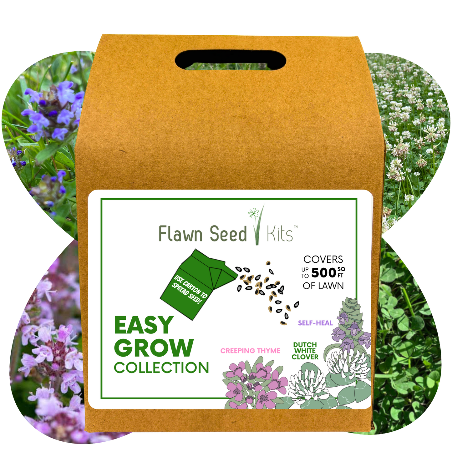 Easy Grow Dutch Clover Bee Lawn Eco-Friendly Kit