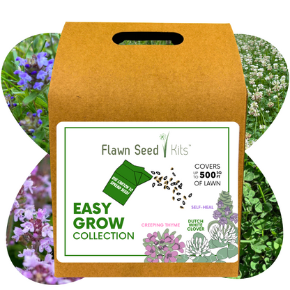 Easy Grow Dutch Clover Bee Lawn Eco-Friendly Kit