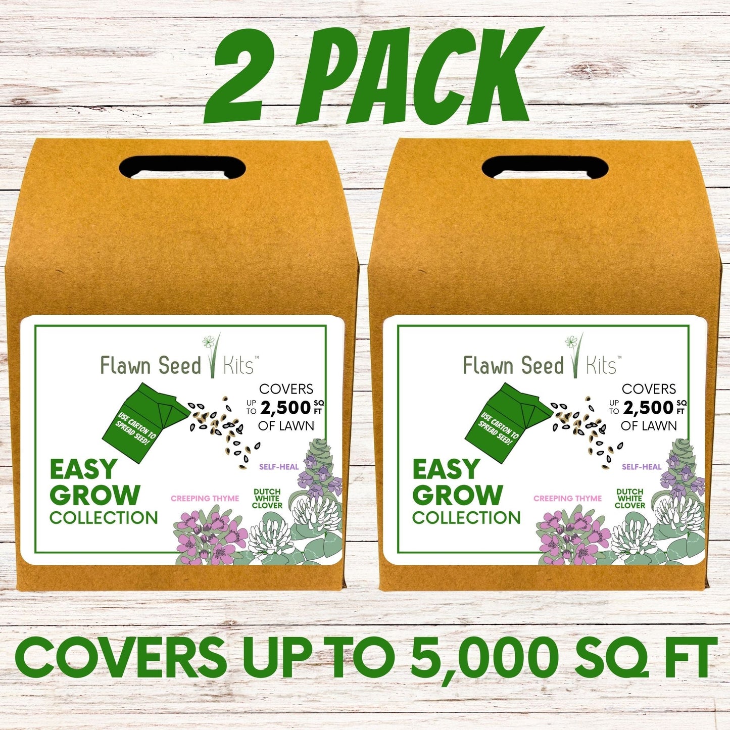 Easy Grow Dutch Clover Bee Lawn Eco-Friendly Kit